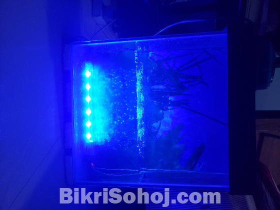 Aquarium